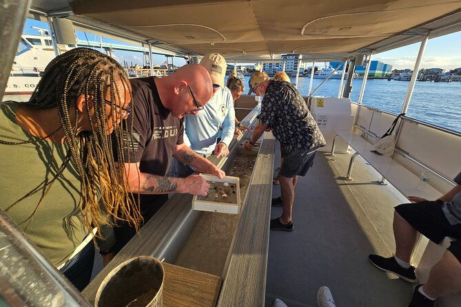 fort-myers-beach-sightseeing-with-shark-teeth-and-shelling-tour