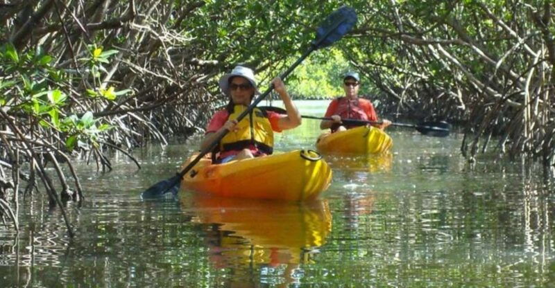 fort-myers-guided-kayak-or-sup-tour-in-pelican-bay