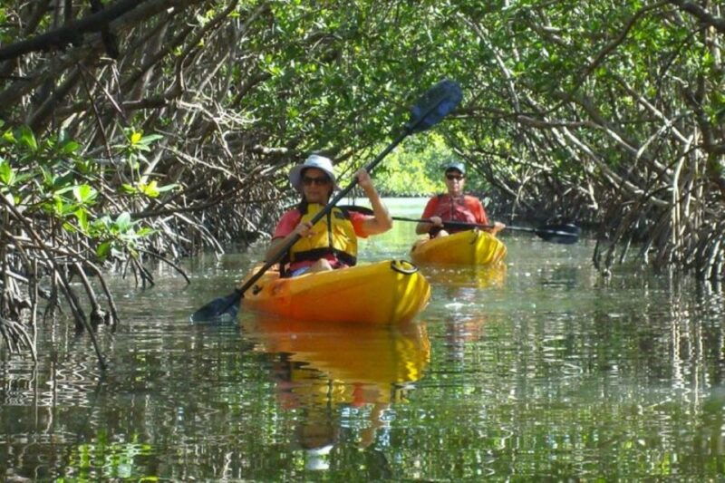 fort-myers-guided-kayaking-eco-tour-in-pelican-bay