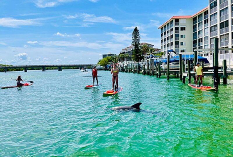 fort-myers-guided-standup-paddleboarding-or-kayaking-tour