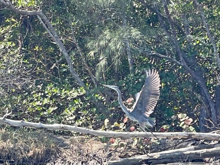 fort-pierce-8-hr-jungle-and-lagoon-passage-to-ocean-in-fl