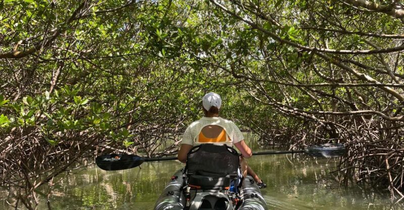 Fort Pierce: Prehistoric Preserve Kayak Tour - Key Points