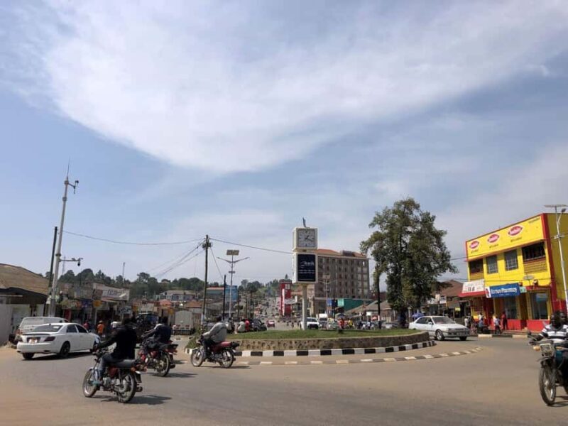 Fort Portal: City Tour with King's Palace & Local Market - Local Lunch and Optional Dining Choices