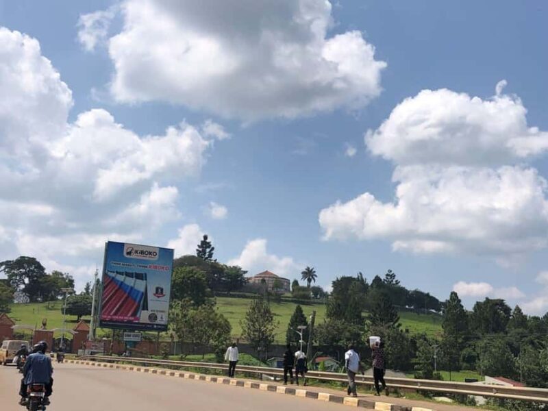 Fort Portal: City Tour with King's Palace & Local Market - The Sum Up