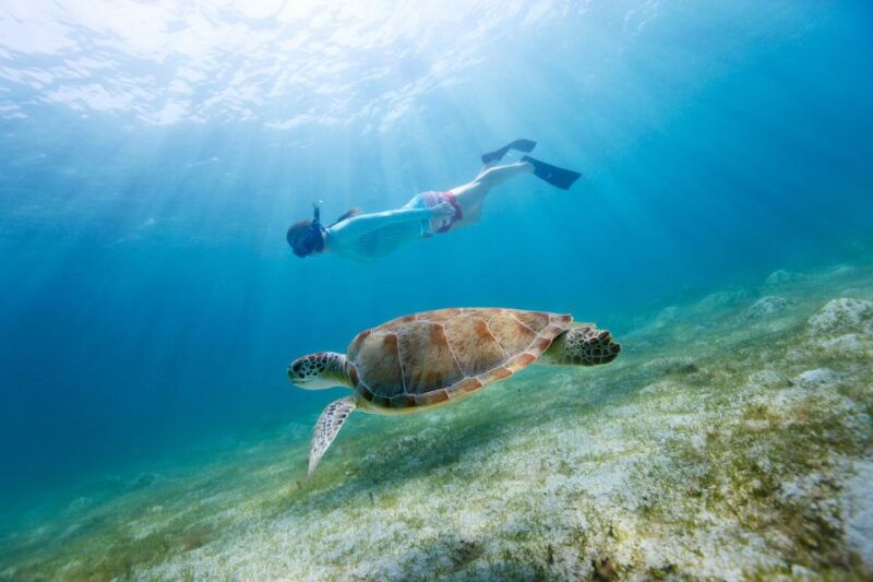 fort-walton-beach-morning-dolphin-cruise-with-snorkel-stop