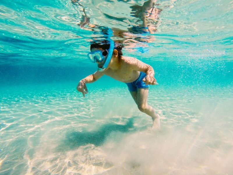 fort-walton-beach-morning-dolphin-cruise-with-snorkel-stop