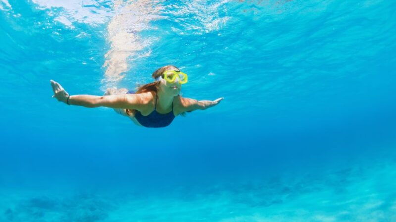 fort-walton-beach-morning-dolphin-cruise-with-snorkel-stop