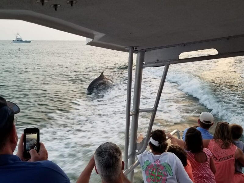 fort-walton-dolphin-discovery-and-snorkeling-cruise
