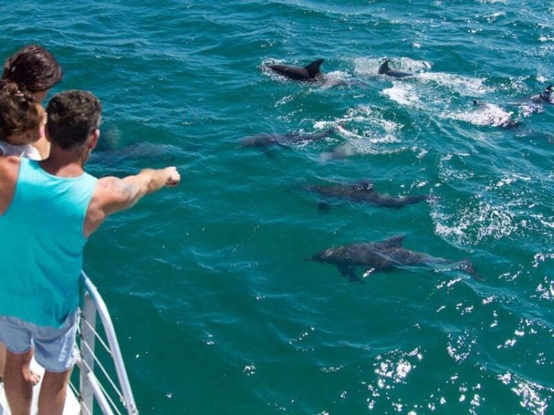fort-walton-dolphin-discovery-and-snorkeling-cruise