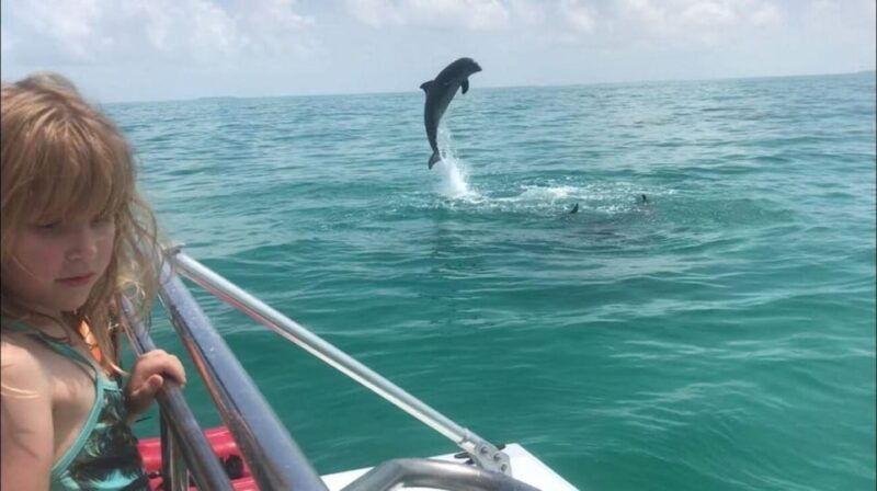 fort-walton-dolphin-discovery-and-snorkeling-cruise
