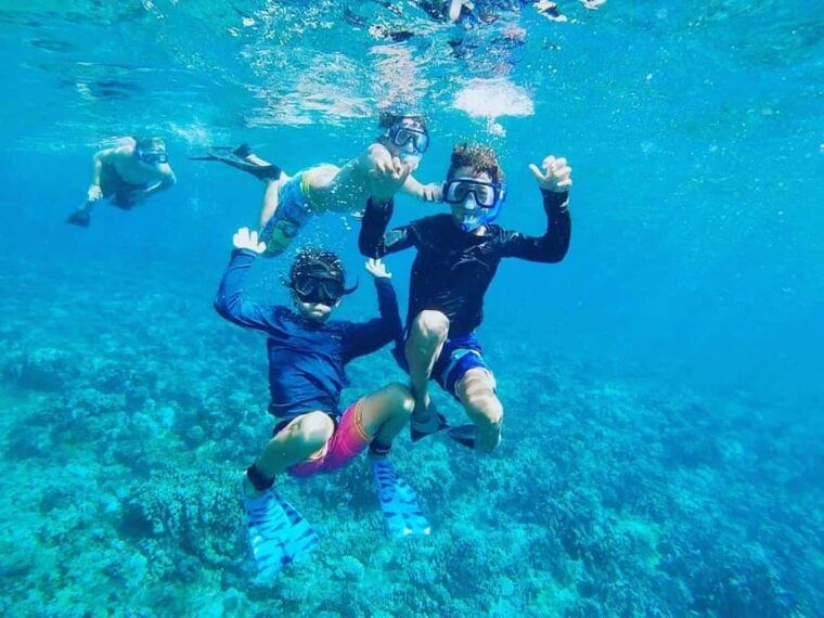 fort-walton-dolphin-discovery-and-snorkeling-cruise