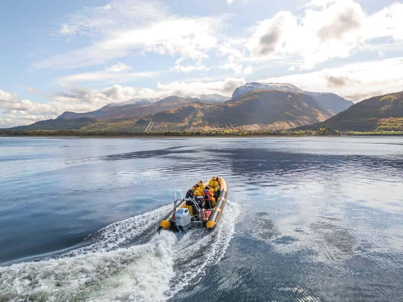 Fort William: 1hr Loch Safari Speedboat Tour - Why This Tour Is Worth It