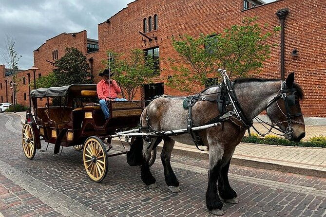 fort-worth-highlights-southfork-ranch-combo-tour