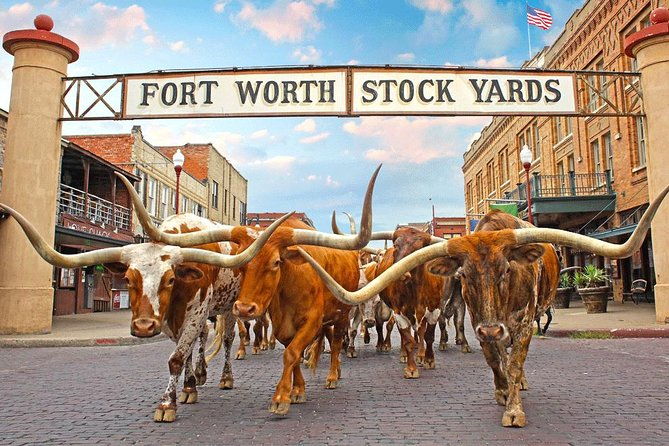 fort-worth-highlights-tour-2
