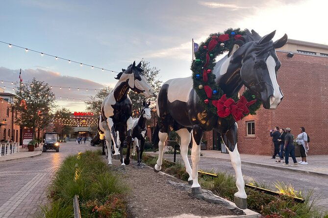fort-worth-highlights-tour-2
