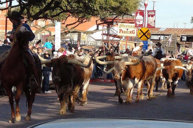 Fort Worth Historical Tour from Dallas - Who Would Love This Tour?