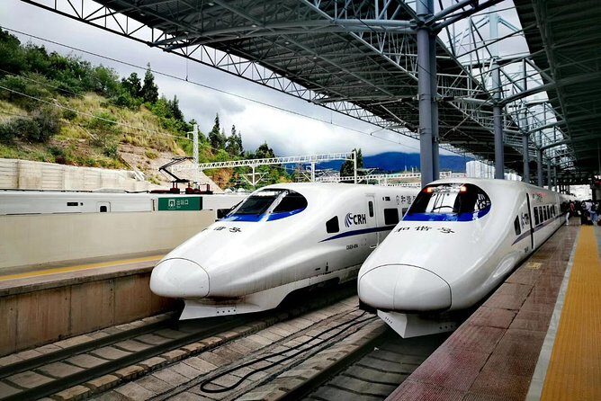 Foshan Tour with Bullet Train Transfer from Hong Kong - Final Words