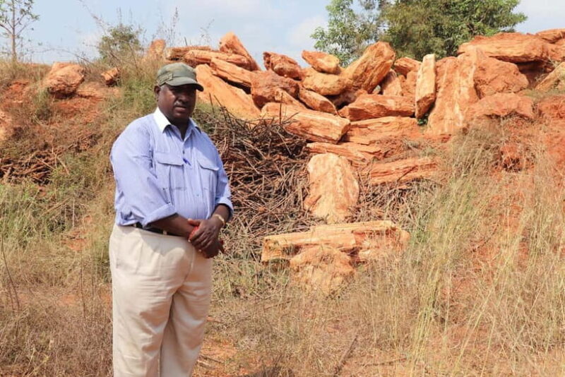 Fossil Walk  Unearthing Ancient Secrets near Pondicherry - What We Really Liked About This Tour