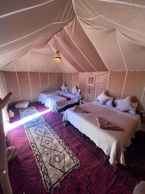Foum Zguid: Erg Chegaga Overnight Desert Tour with Camel - What Makes This Tour Stand Out?  