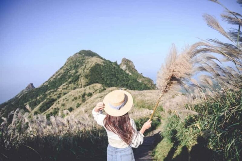 Four-Day In-Depth Tour of Northern Taiwan - Key Points