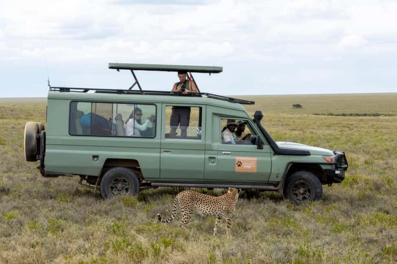 FOUR DAYS BUDGET CAMPING SAFARI - Who Is This Tour Best For?