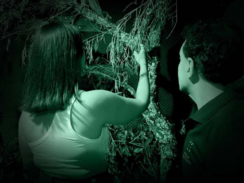FOUR SENSES: The Immersive Experience in the Dark - Faro - Key Points: