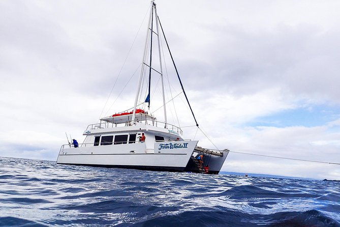 four-winds-molokini-snorkeling-tour-from-maalaea-harbor