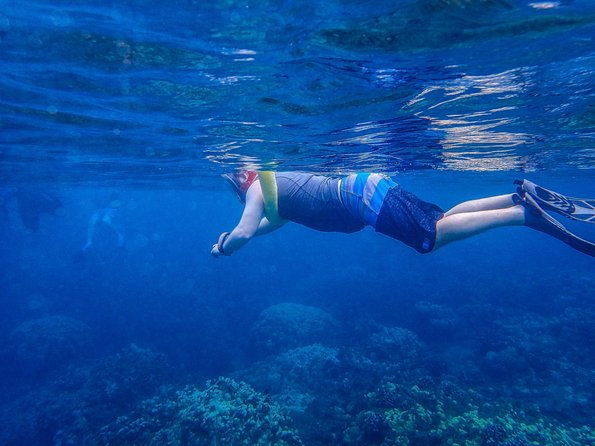 four-winds-molokini-snorkeling-tour-from-maalaea-harbor