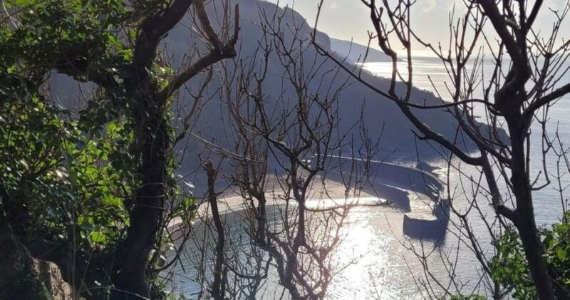 fowey-south-west-coast-path-guided-walk