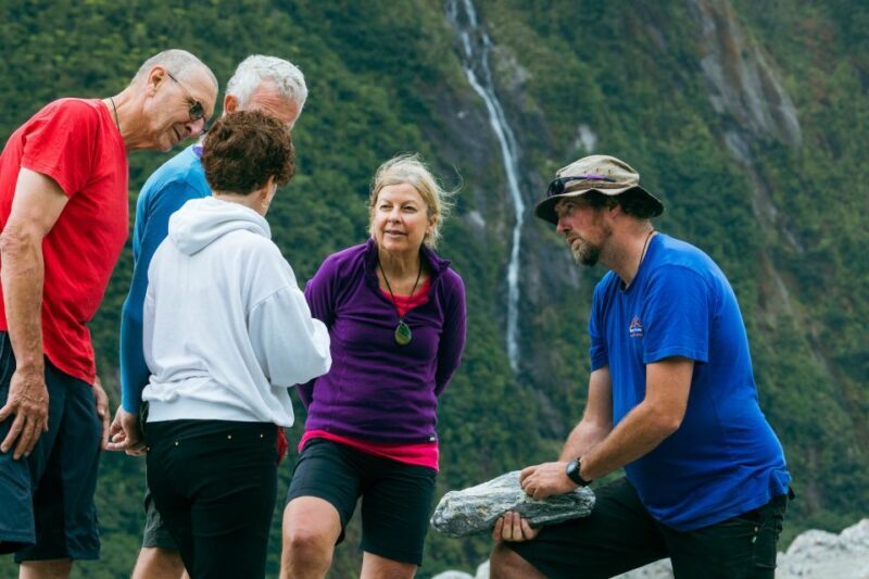 Fox Glacier: Half Day Walking & Nature Tour with Local Guide - Why This Tour Is Worth Considering