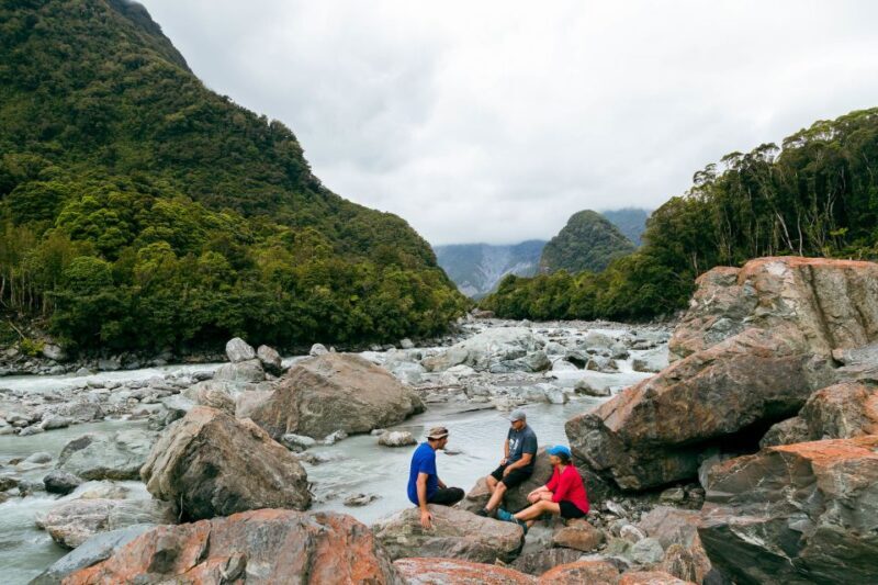 Fox Glacier: Half Day Walking & Nature Tour with Local Guide - Who Will Love This Tour?