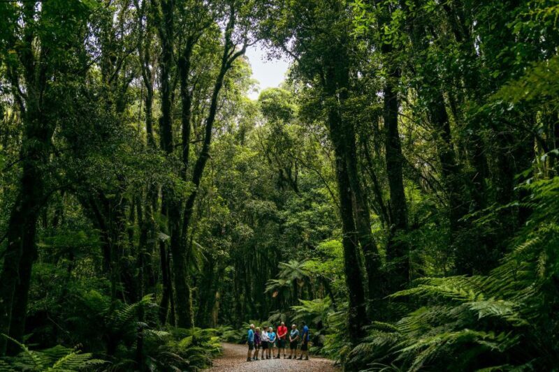 Fox Glacier: Half Day Walking & Nature Tour with Local Guide - FAQ