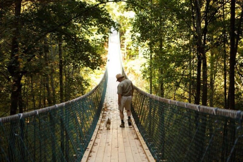 Foxfire Mountain: Hiking & Swinging Bridge Family Adventure - Exploring Foxfire Mountain: An Authentic Appalachian Experience