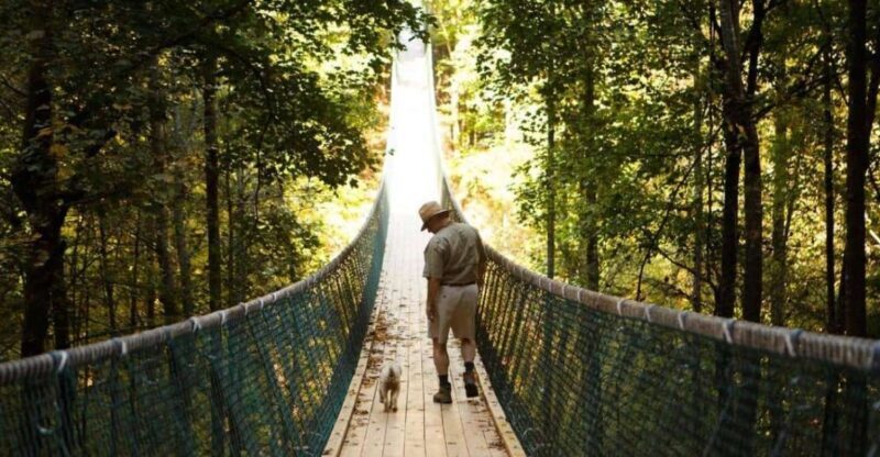 Foxfire Mountain: Hiking & Swinging Bridge Family Adventure - Practical Details & Tips
