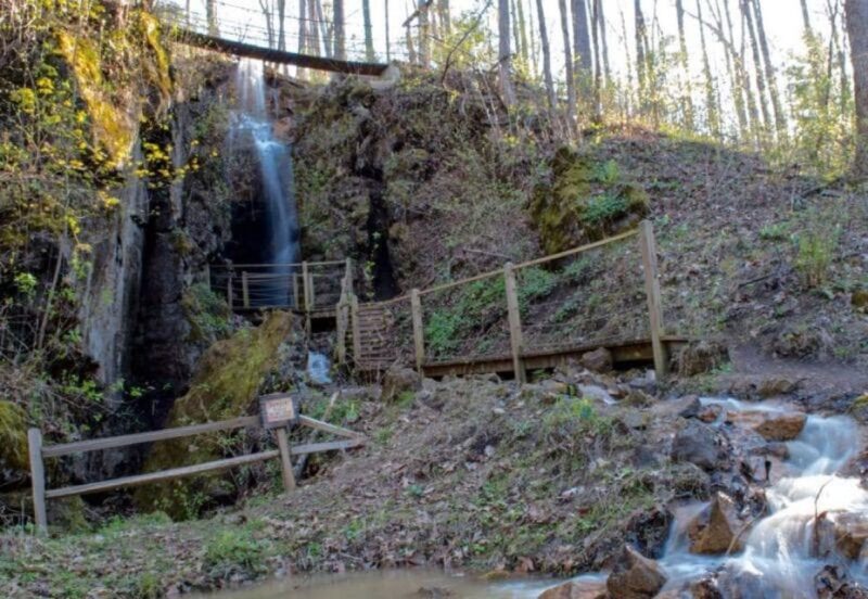 Foxfire Mountain: Hiking & Swinging Bridge Family Adventure - The Real Traveler Experience: Authentic Opinions & Tips