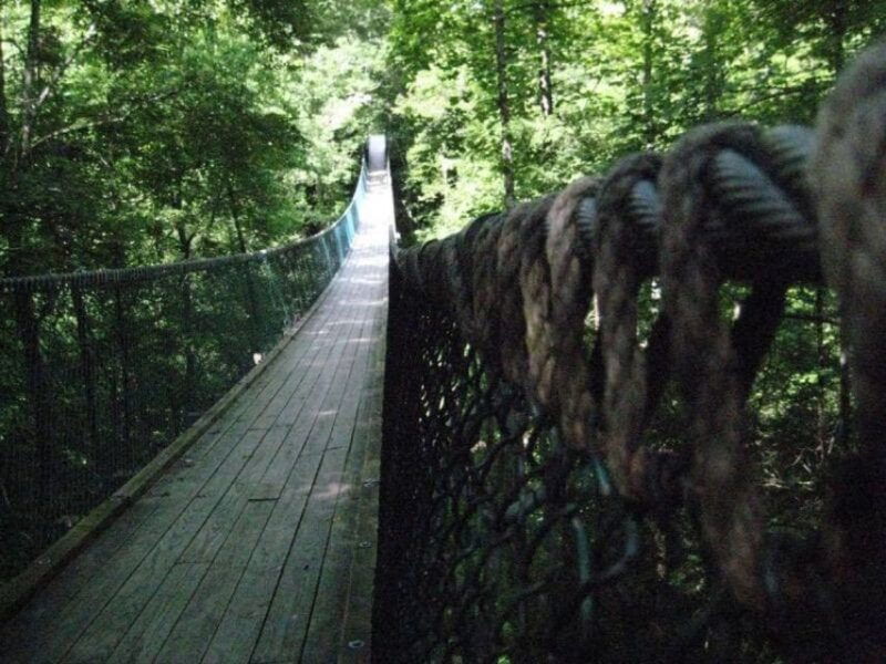 foxfire-mountain-hiking-swinging-bridge-family-adventure