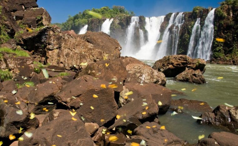 foz-do-iguacu-brazilian-side-of-the-falls