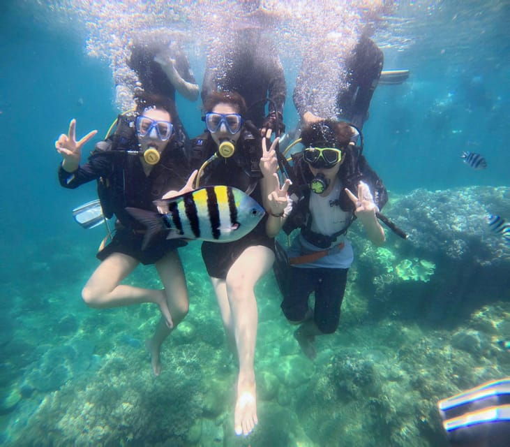 fr-da-nang-cham-island-sightseeing-and-snorkeling-tour