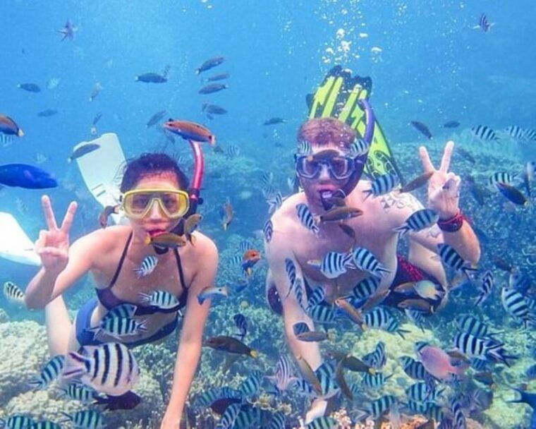 fr-da-nang-cham-island-sightseeing-and-snorkeling-tour