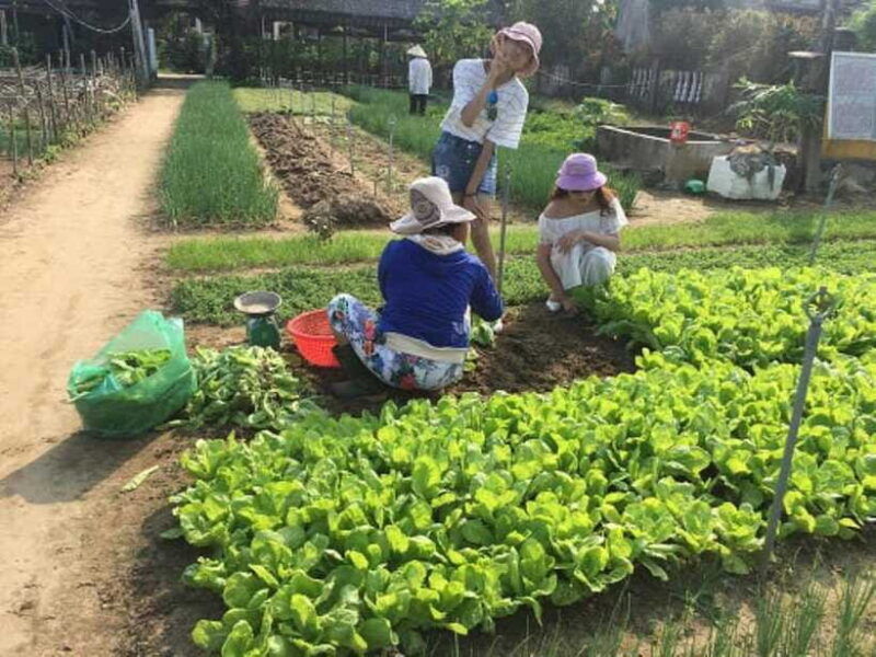 fr-hoi-an-farming-fishing-life-by-bike