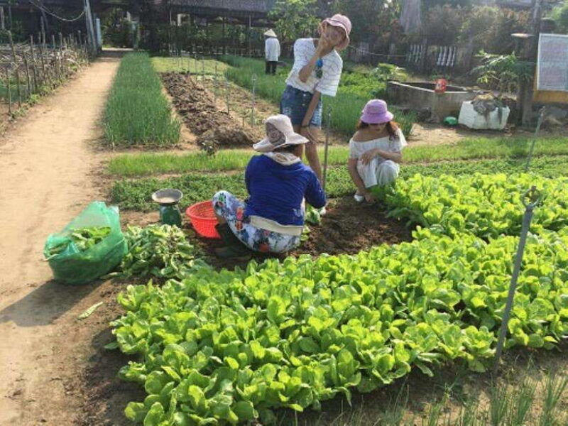 fr-hoi-an-tra-que-farming-cooking-class-group-tour