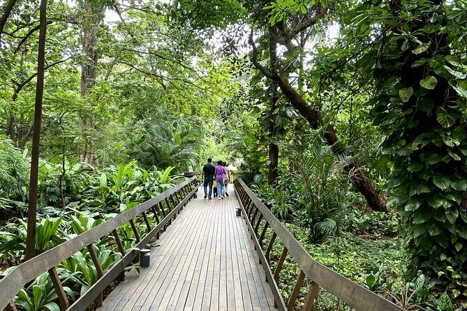 Fragrance Walk and Botany of Ancient Texts Tour - An In-Depth Look at the Fragrance Walk and Botany of Ancient Texts