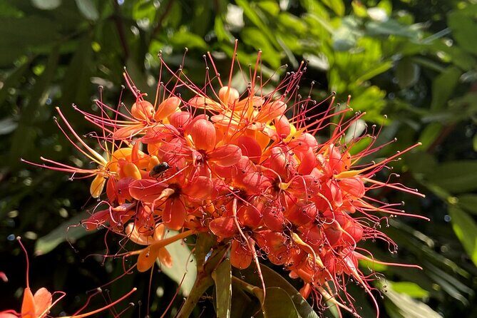 Fragrance Walk and Botany of Ancient Texts Tour - Why This Tour Stands Out