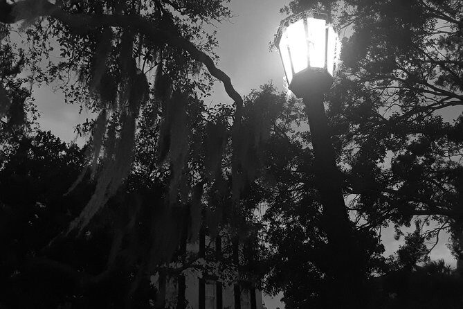 Fraidy Cat: The Family Fun Ghost Tour of Savannah - The Sum Up