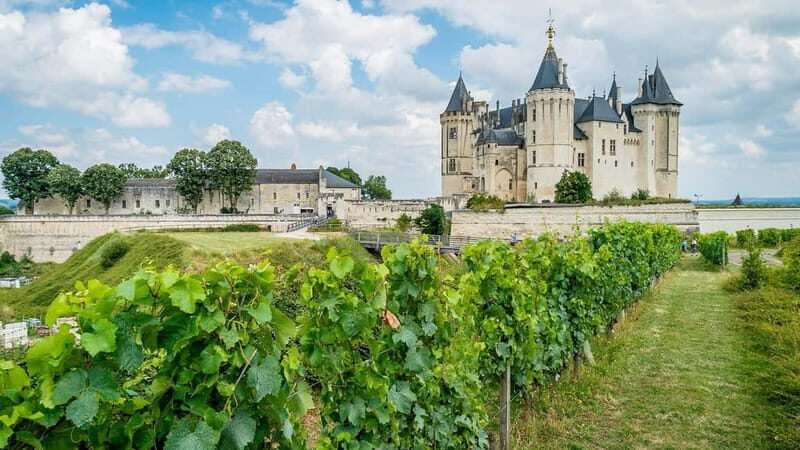 France: Private Wine Tasting Tour with Chauffeur from Paris - An Overview of the Experience