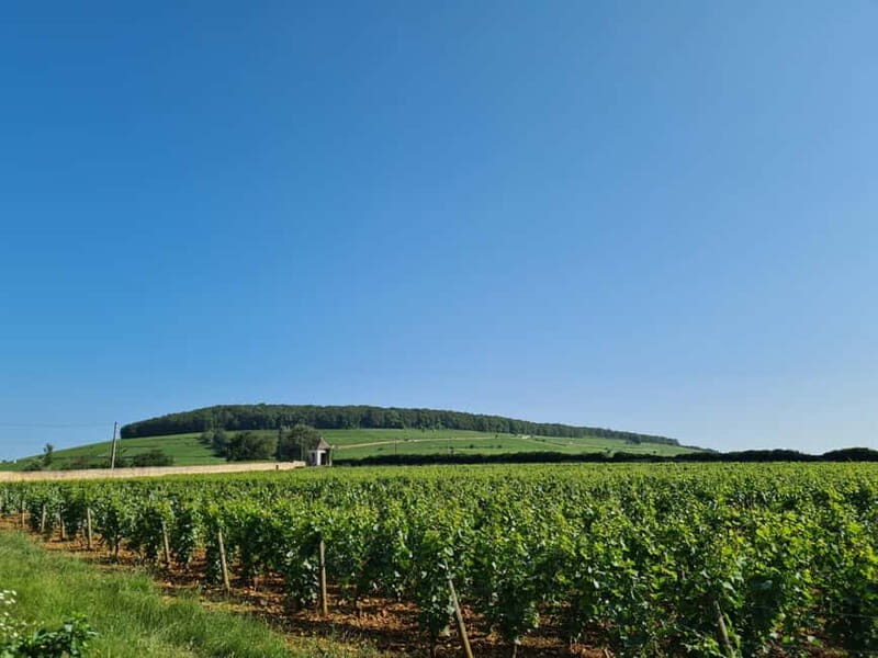 France: Private Wine Tasting Tour with Chauffeur from Paris - Final Thoughts: Is This Tour for You?