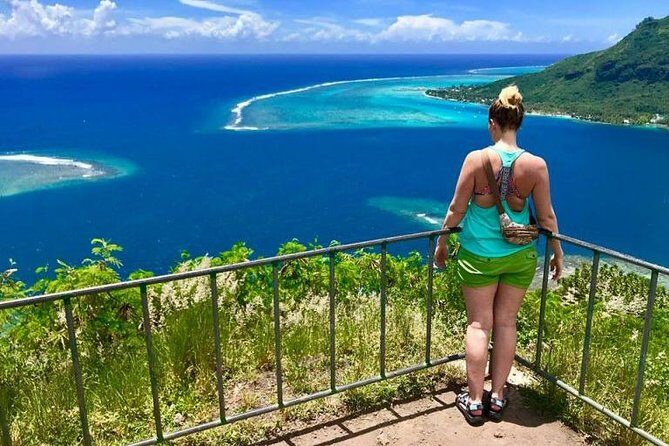 Franckyfranck Tours Moorea - Half day Tours - Who Is This Tour Best For?