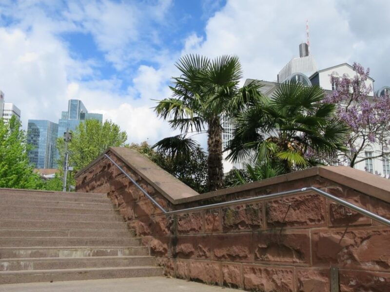 frankfurt-guided-walk-between-palm-trees-and-skyline