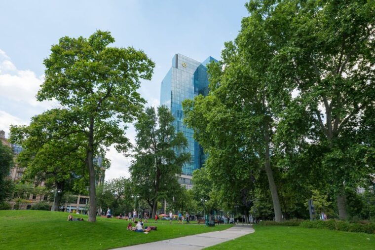 frankfurt-guided-walk-between-palm-trees-and-skyline