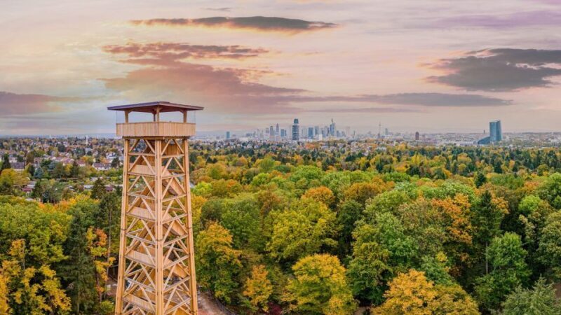 Frankfurt: RheinMainCard - Unlimited RMV Transportation - FAQ